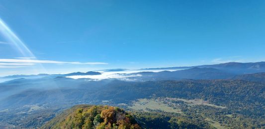 Danas Međunarodni dan života