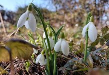 PROLJEĆE je na vratima