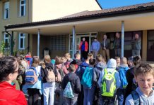 OŠ Josipdol u suradnji s upravom šuma podružnica Ogulin pošumili i obnovili šumu