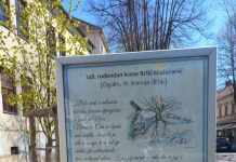 Novi citylight plakati s citatima Ivane Brlić Mažuranić
