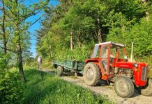 Mladež HDZ-a Ogulin očistila šumicu na Krlencu, u akciji Zelena čistka