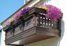 Jesu li petunije najbolji izbor za prozore i balkone?