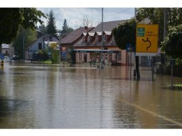 Na današnji dan pred 23 godine malo smo plivali. Nešo Ogulin u srcu