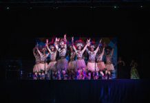 Međunarodni festival folklora Karlovac nastupio u Ogulinu