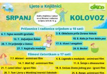 Ljeto u knjižnici