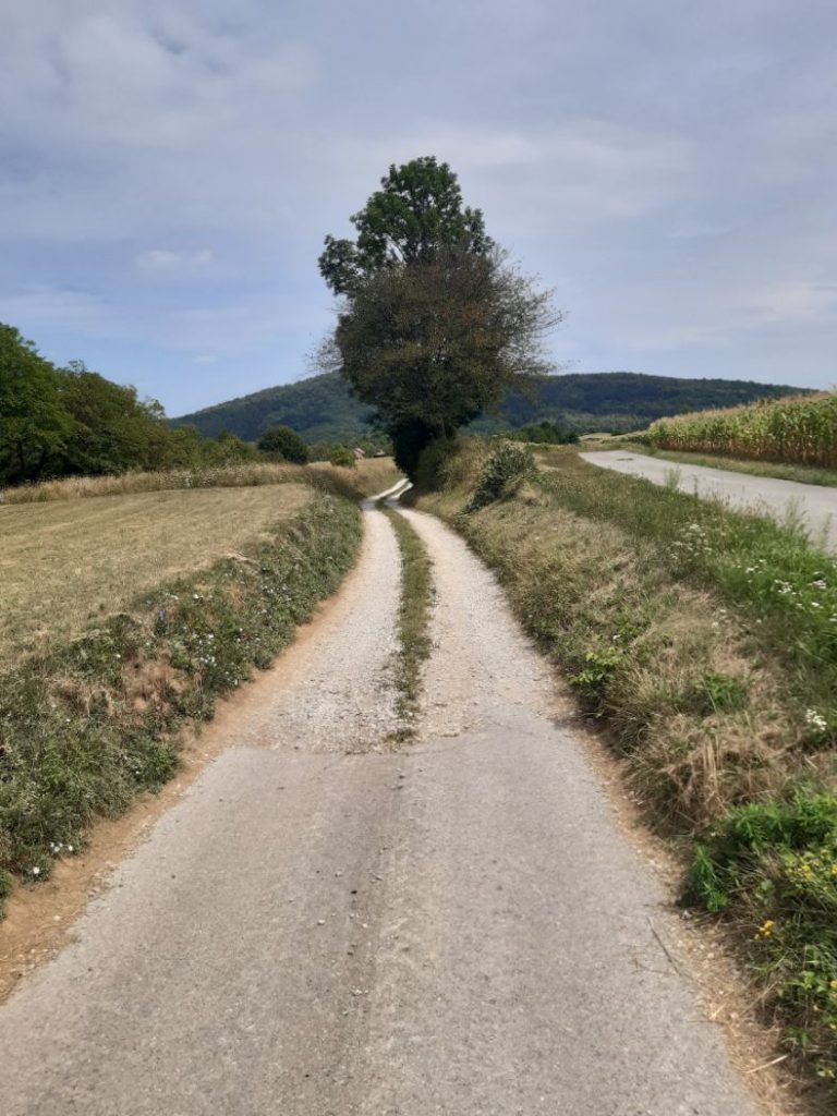 Općini Josipdol
