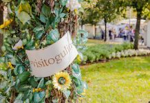 TZ Ogulin objavila Javni poziv za odabir umjetničkog direktora 18. Ogulinskog festivala bajke (18. OGFB)