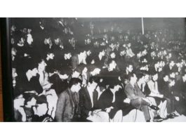 Tjedan košarke III – Nešo Ogulin u srcu