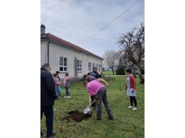 Zasađene voćke povodom Dana planeta Zemlje koje je donirala TZ Smaragdnih rijeka