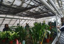 Učenici OŠ IBM posjetili su cvjećarnicu Kopšiva