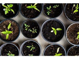 Dan zaštićenih autohtonih proizvoda u Oštarijama