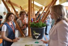 U Prirodoslovnoj školi Karlovac predstavljen sajam znanja i učeničkih natjecanja “Dan struke, dan odluke”