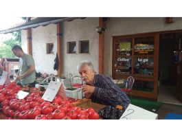 Gumfekova retorika.Wiener Schule na ogulinski način- Nešo Ogulin u srcu