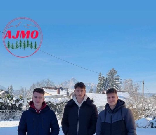 Tim Gimnazije Bernardina Frankopana Ogulin izborio je prolaz na regionalno međužupanijsko natjecanje Poslovni izazov 2024.