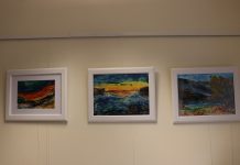 Izložba umjetničkih radova Marine Marković u Gradskoj knjižnici Ogulin