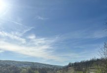 Spektakl Brzine i Strasti: Treći Quattro River Rally Karlovac 2024