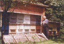 Utorkom iz arhiva Zavičajnog muzeja Ogulin – Svjetski dan pčela