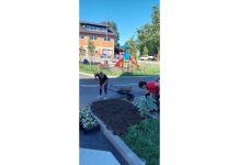 Mjesni odbor Ogulin uljepšao dio naselja sadnjom cvijeća