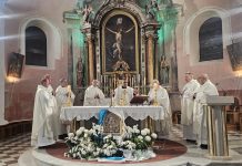 Proslavljena Gospa od Zdravlja