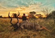 Neven Ristić, od norveških fjordova do savana Namibije