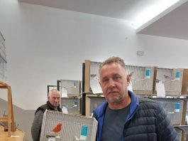 Bronca za ogulinskog kanarinca