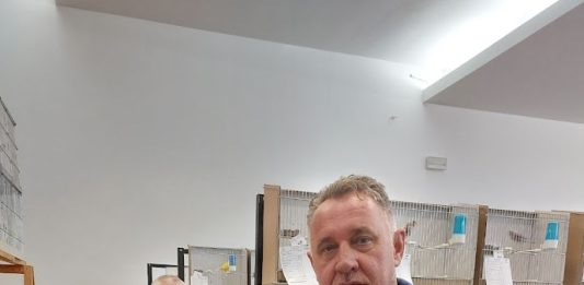 Bronca za ogulinskog kanarinca