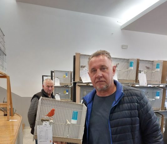 Bronca za ogulinskog kanarinca