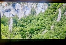 Svjetski dan televizije