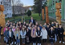 Marko Marulić u drvetu