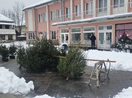 Ogulinske božićne jelke