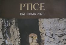 Matičin kalendar o pticama