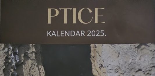 Matičin kalendar o pticama
