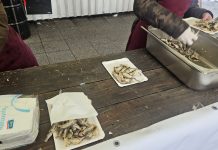 Pržene srdele i Bohemi na Badnjak