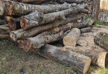 Predbilježja građana za ogrjevno drvo