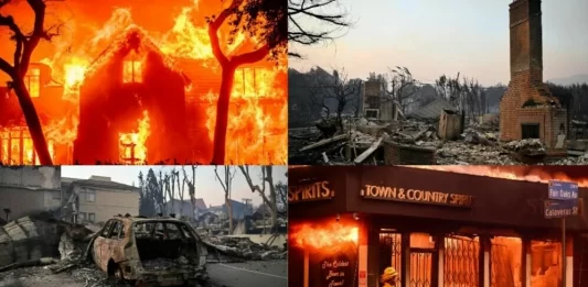 Apokalipsa u Los Angelesu: Vatra progutala Hollywood Hills