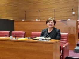 Saborska zastupnica Anđelka Salopek: Projekt retencije nije projekt ul. I. G. Kovačića od 100 m kojeg Domitrović radi već 3 godine! NEĆU DOPUSTITI POLITIZACIJU OVOG PROJEKTA!