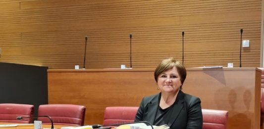 Saborska zastupnica Anđelka Salopek: Projekt retencije nije projekt ul. I. G. Kovačića od 100 m kojeg Domitrović radi već 3 godine! NEĆU DOPUSTITI POLITIZACIJU OVOG PROJEKTA!