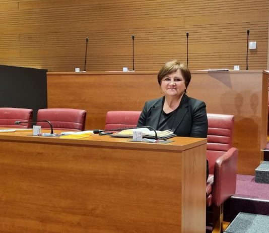 Saborska zastupnica Anđelka Salopek: Projekt retencije nije projekt ul. I. G. Kovačića od 100 m kojeg Domitrović radi već 3 godine! NEĆU DOPUSTITI POLITIZACIJU OVOG PROJEKTA!