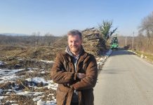 Sječa drvne mase s privatnih šumskih parcela