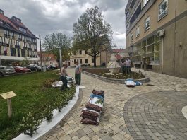 Karlovačko Zelenilo uljepšava grad