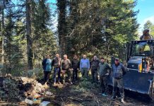 Uprava šuma Ogulin u Zelenoj čistki