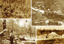 Najava za predavanje o „260 godina šumarstva 1765. – 2025.”