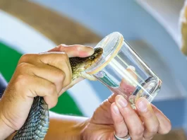 Počeli radovi na novom imunološkom zavodu