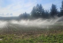 Bez navodnjavanja nema uroda