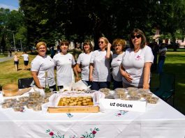 Najbolja prezentacija izloženih kolača na Picokijadu