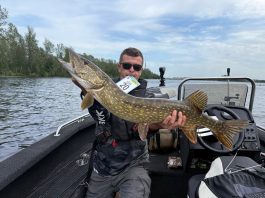 Mario Matijašić poharao Daugavu u Latviji najvećom ulovljenom štukom