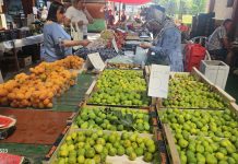 Plac srijedom, dominantne smokve