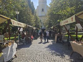 Domaće u zavičaju bajke – izložbeno-prodajni sajam