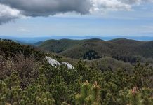 Zimski popust u nacionalnim parkovima: Prilika za izlet