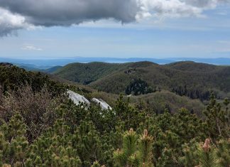 Zimski popust u nacionalnim parkovima: Prilika za izlet